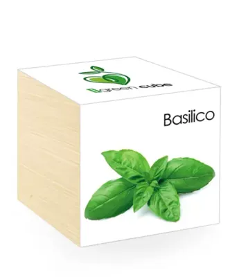 iGreen Cube Flowers &amp; Plants in Wooden Cubes - Basil