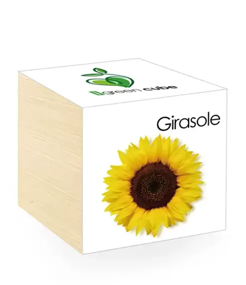iGreen Cube Flowers &amp; Plants in Wooden Cubes - Sunflower