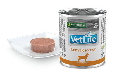 Farmina Vet Life Natural Diet Dog Convalescence 300gr