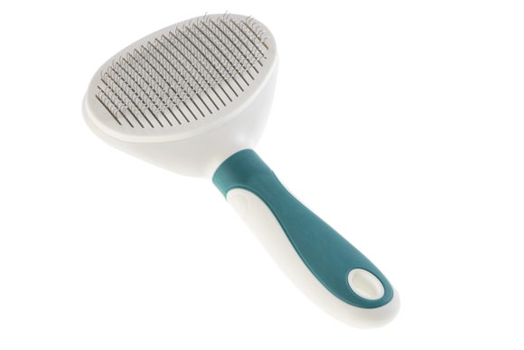 Gimborn - CARD. OVAL WITH REMOVAL 11X19.5cm