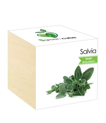 iGreen Cube Flowers &amp; Plants in Wooden Cubes - Sage