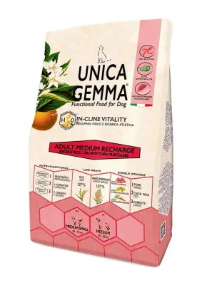 Gheda - Adult Medium Recharge Dry 10kg