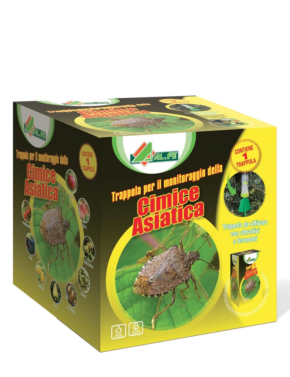 Alfe - ASIAN BUG TRAP