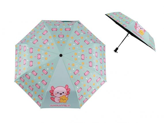 ITotal Automatic Open-Close Umbrella Axolutely