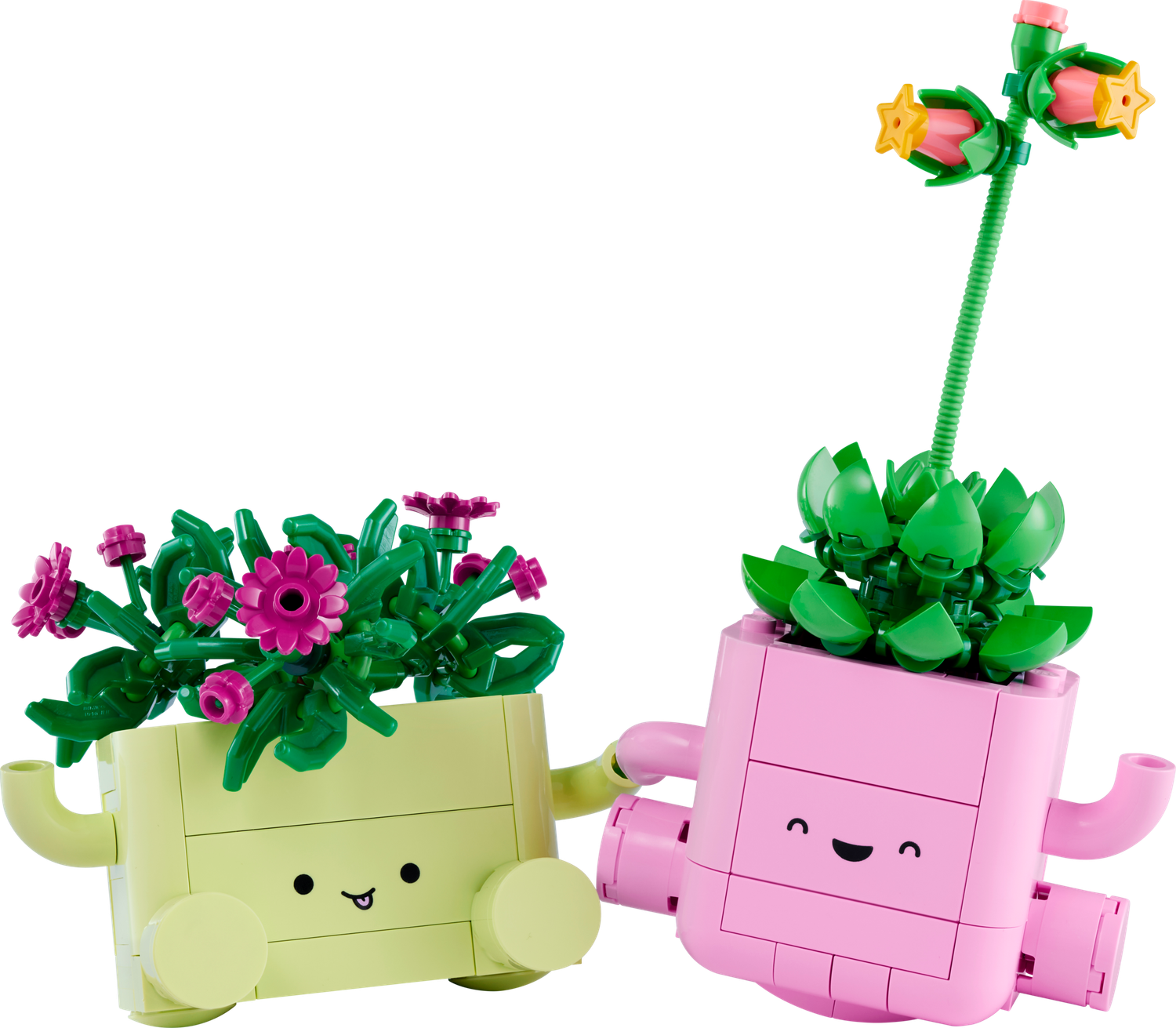 LEGO Botanicals Rocking Plants 11506