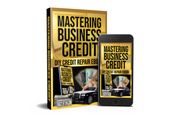 MASTER BUSINESS CREDIT