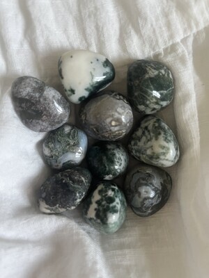 Tree Agate 1 piece Tumbled Crystal