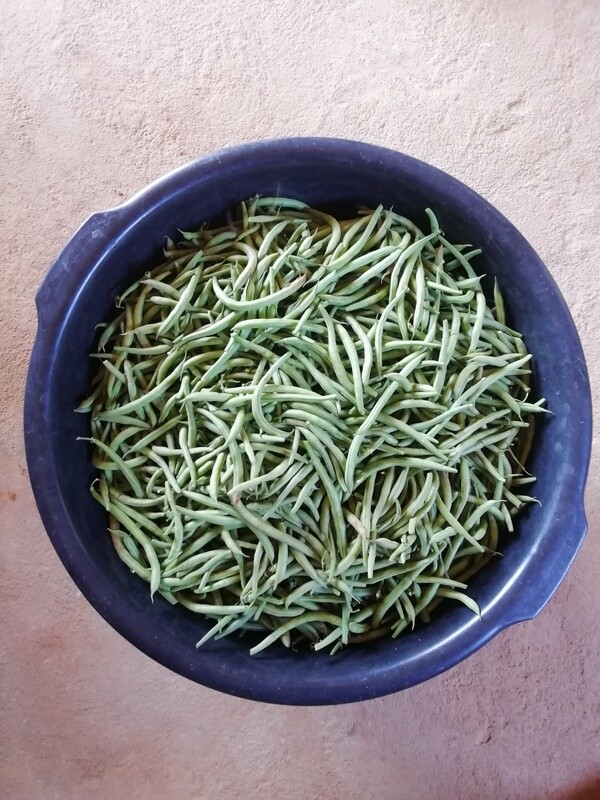 Organic green beans