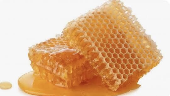 PANAL DE ABEJA