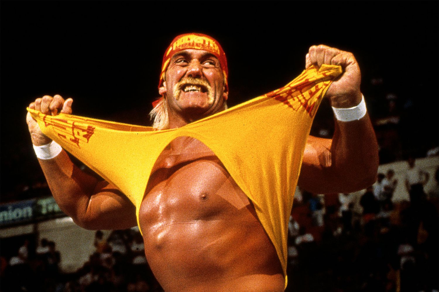 Hulk Hogan Entrance