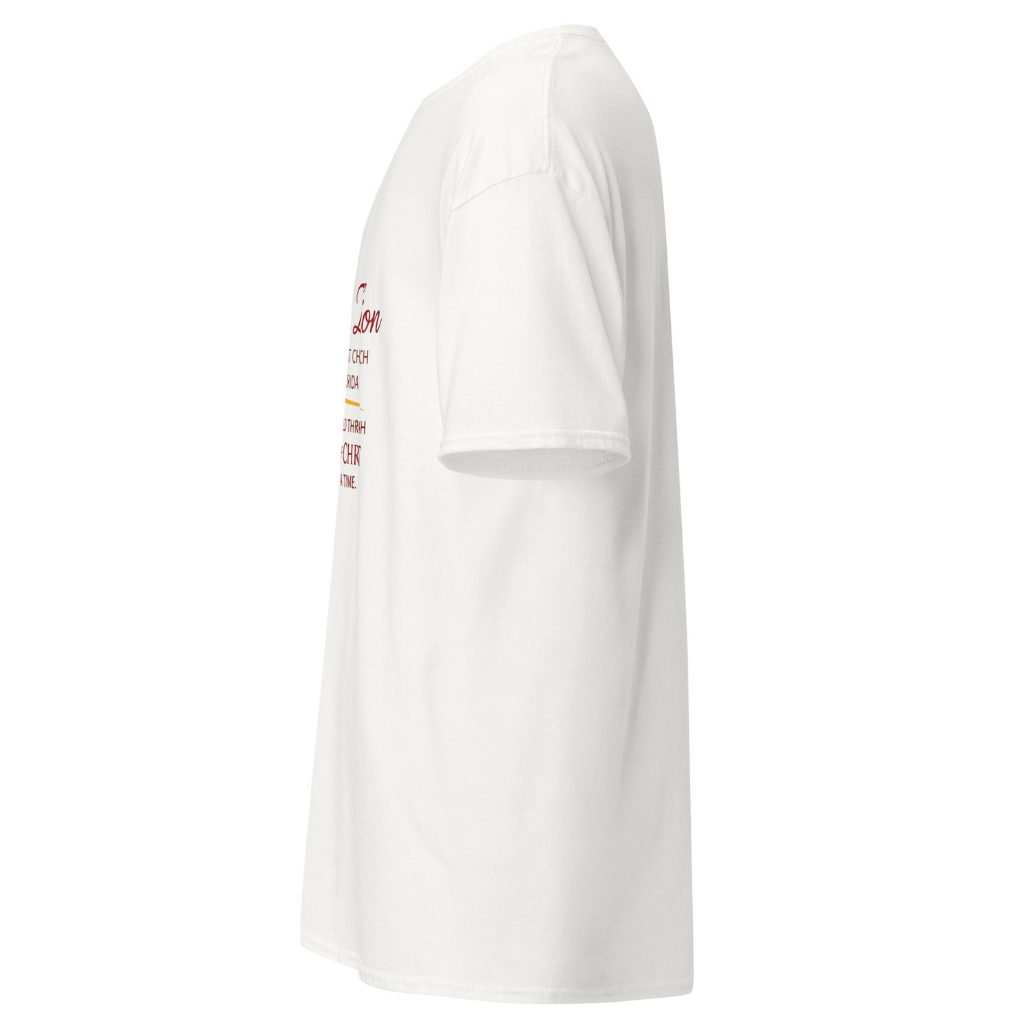 New Mt. Zion Unisex classic tee