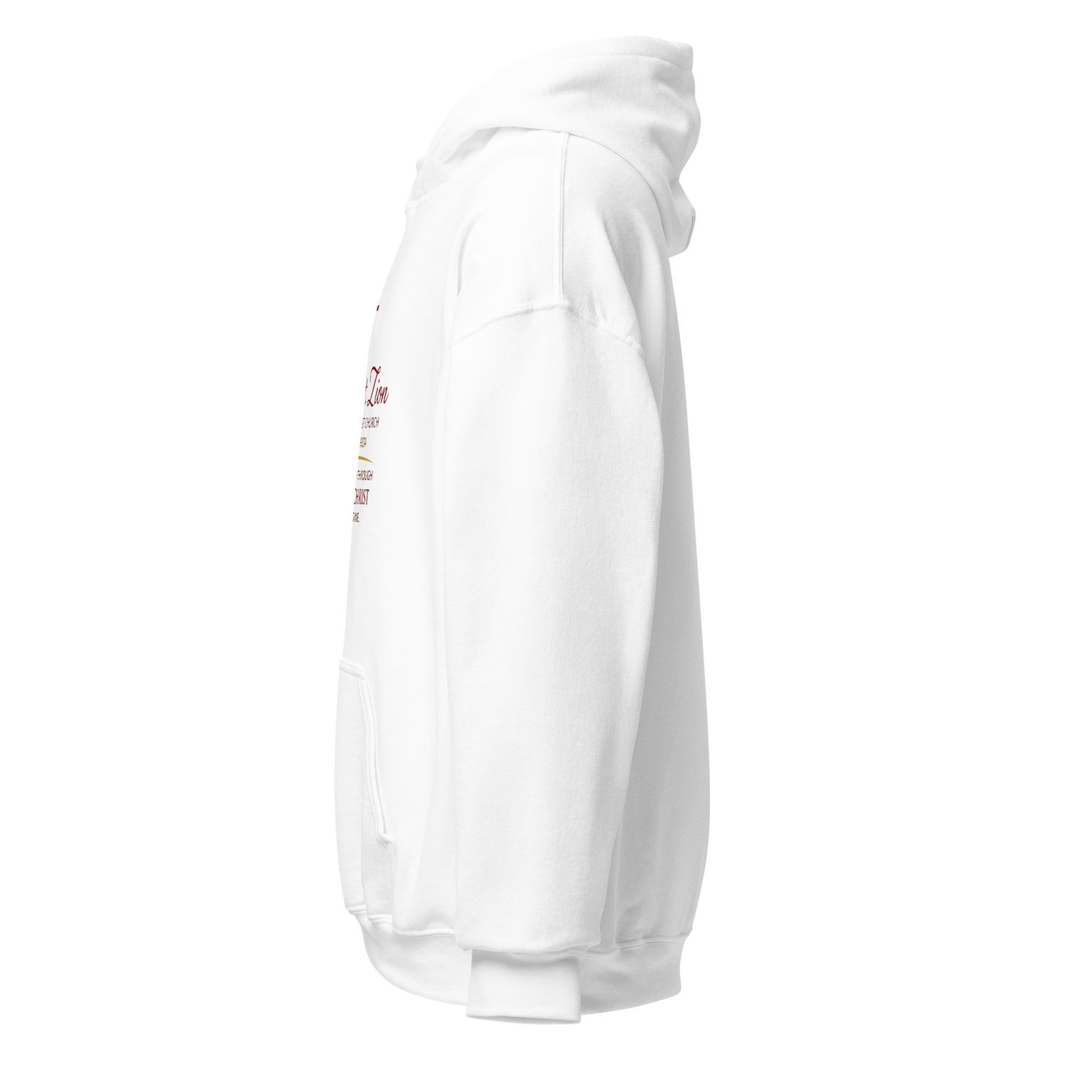 New Mt. Zion Tampa Unisex Hoodie