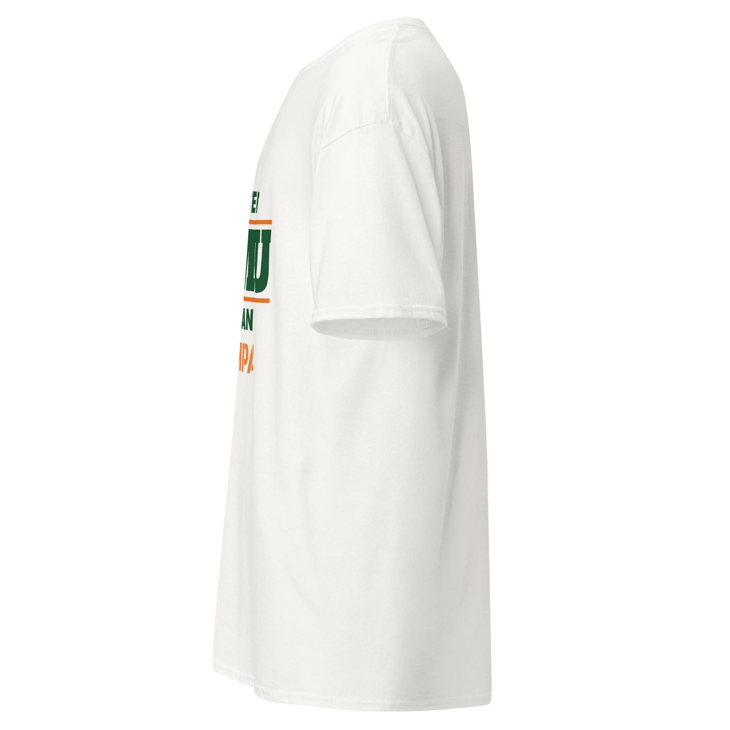 FAMU ALUMNAI WOMAN TAMPA