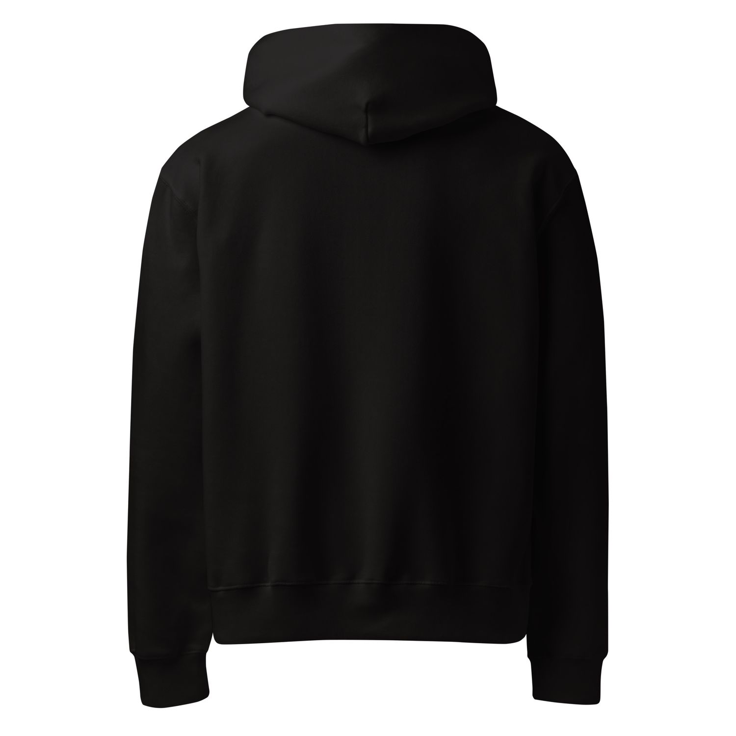 DIVASTYLEZ GIRLFRIENDS Oversized heavyweight hoodie