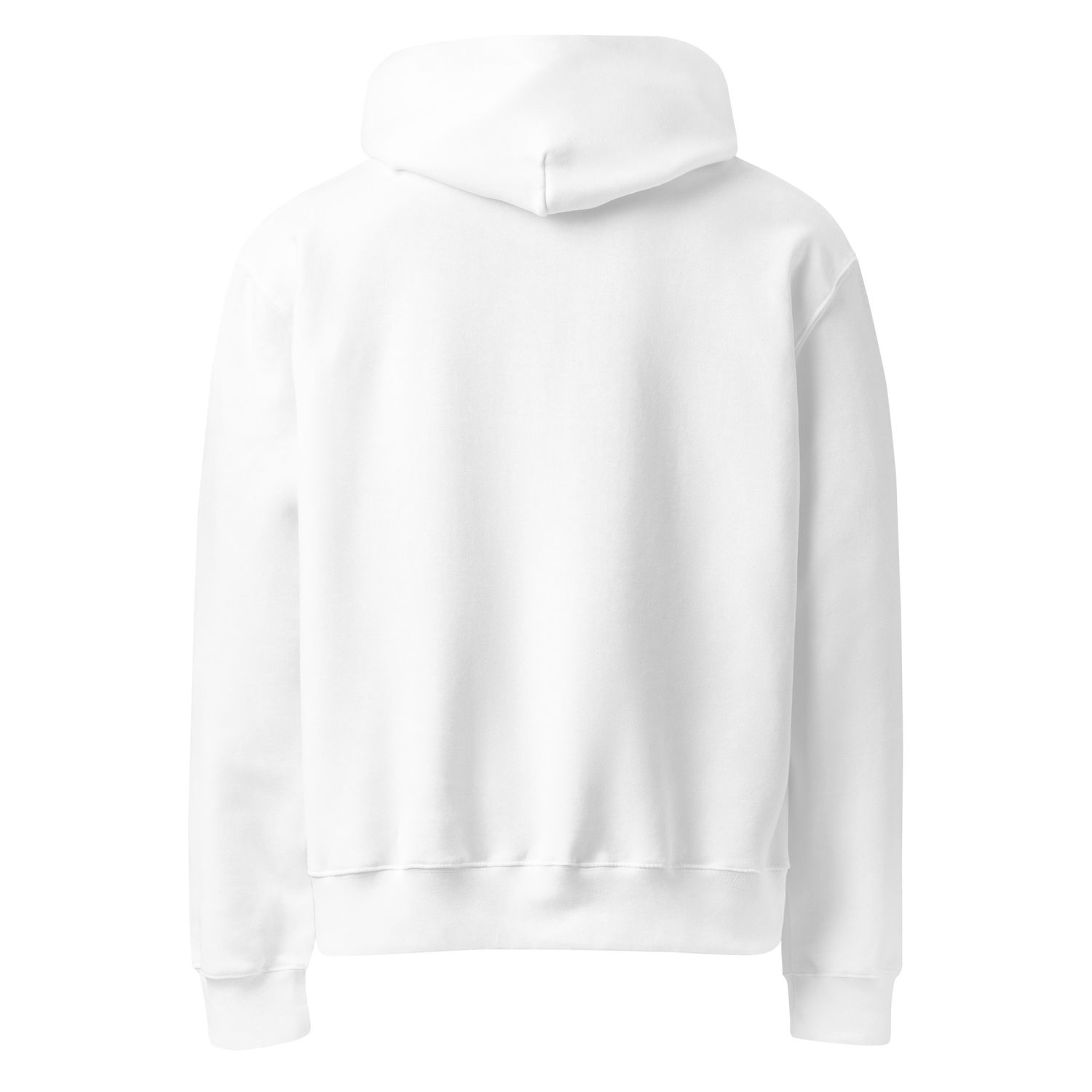 DIVASTYLEZ GIRLFRIENDS Oversized heavyweight hoodie