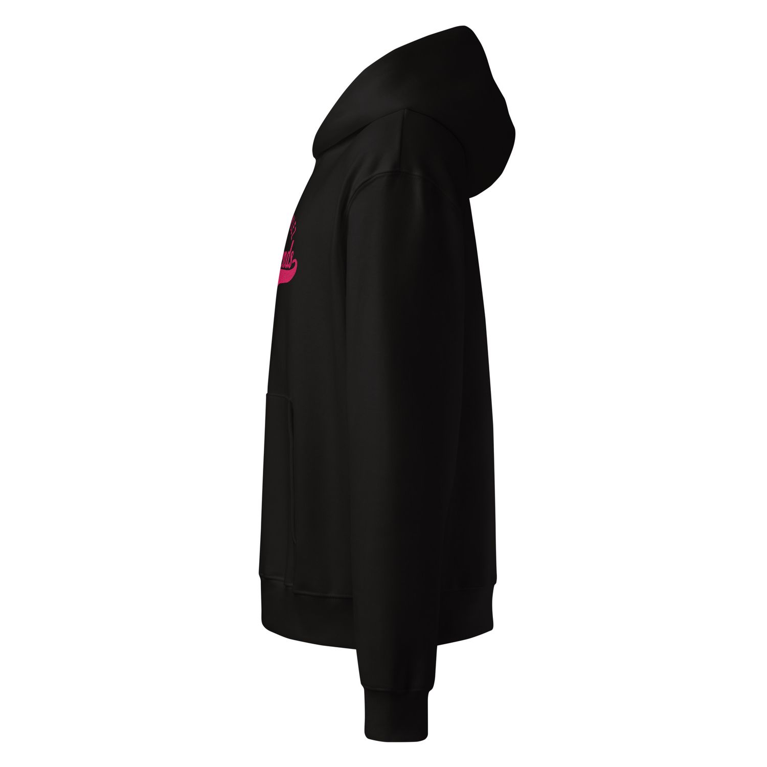 DIVASTYLEZ GIRLFRIENDS Oversized heavyweight hoodie