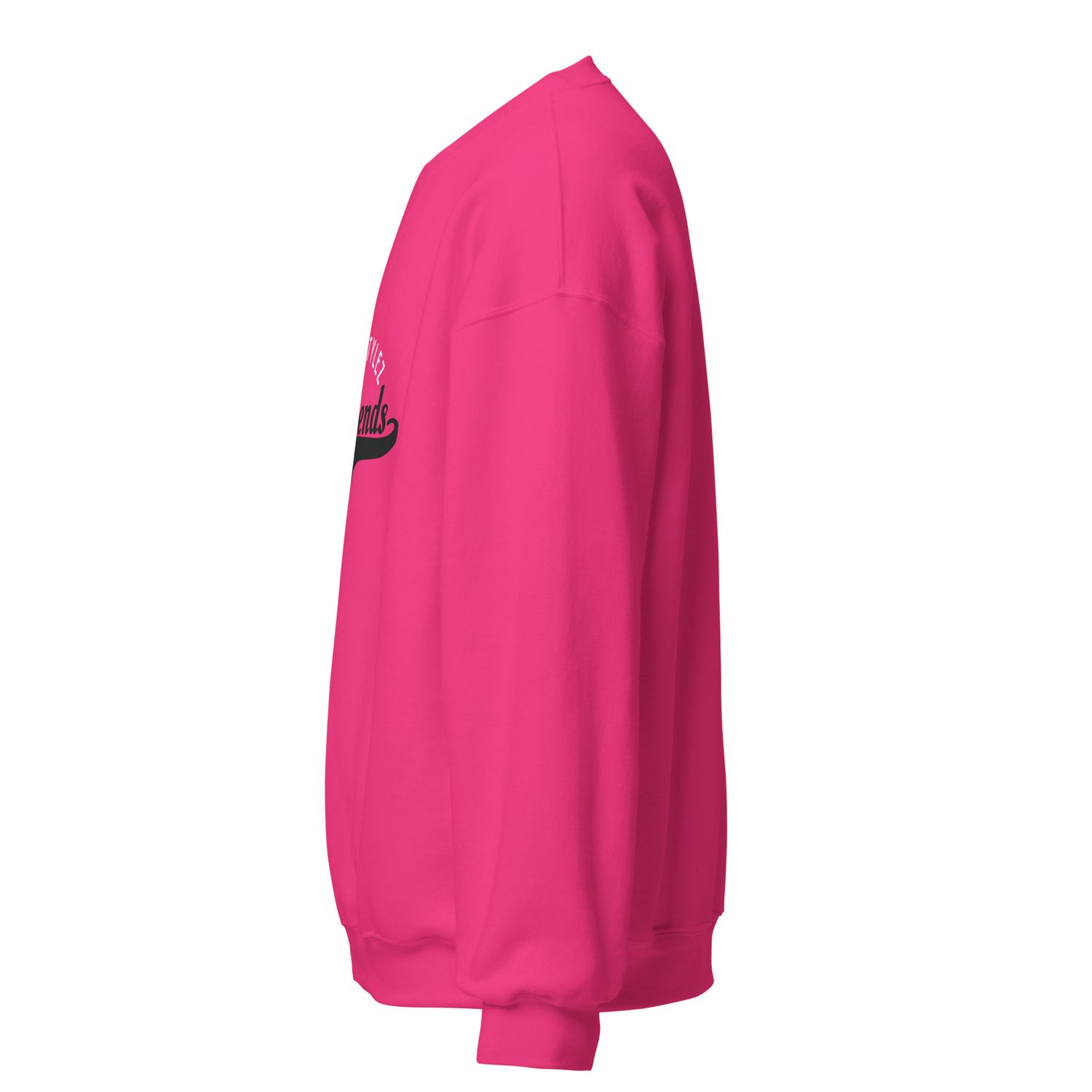 DIVASTYLEZ GIRLFRIENDS Sweatshirt