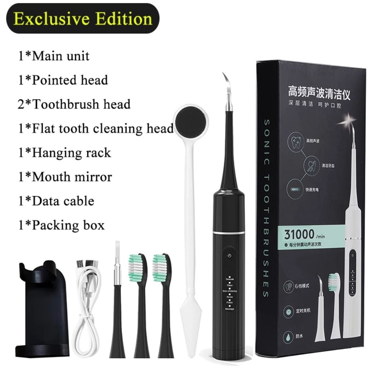HIENA Teeth Cleaner Tartar Ultrasonic Tooth Cleaner Teeth Whitening Dental Scaler Tartar Remover Usb Electric Tooth Brush Electric Toothbrushes for Adult 1set