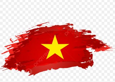 Vietnam Shop