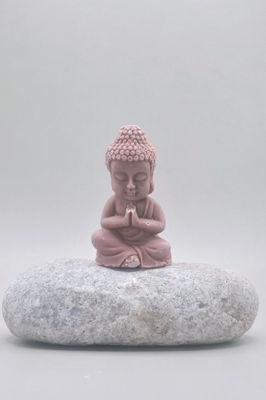 Buddha in a Tree of Life box