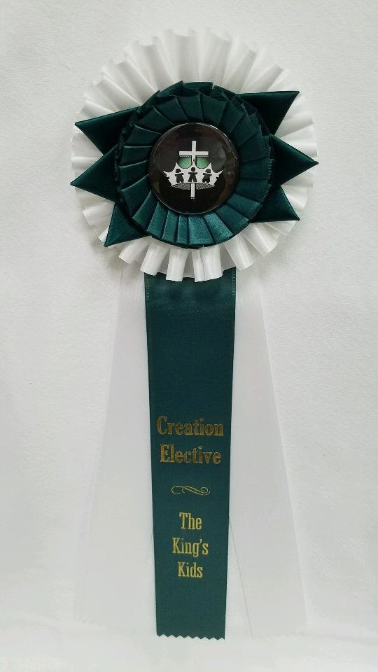 King&#39;s Kids Creation Science Elective Award Ribbon