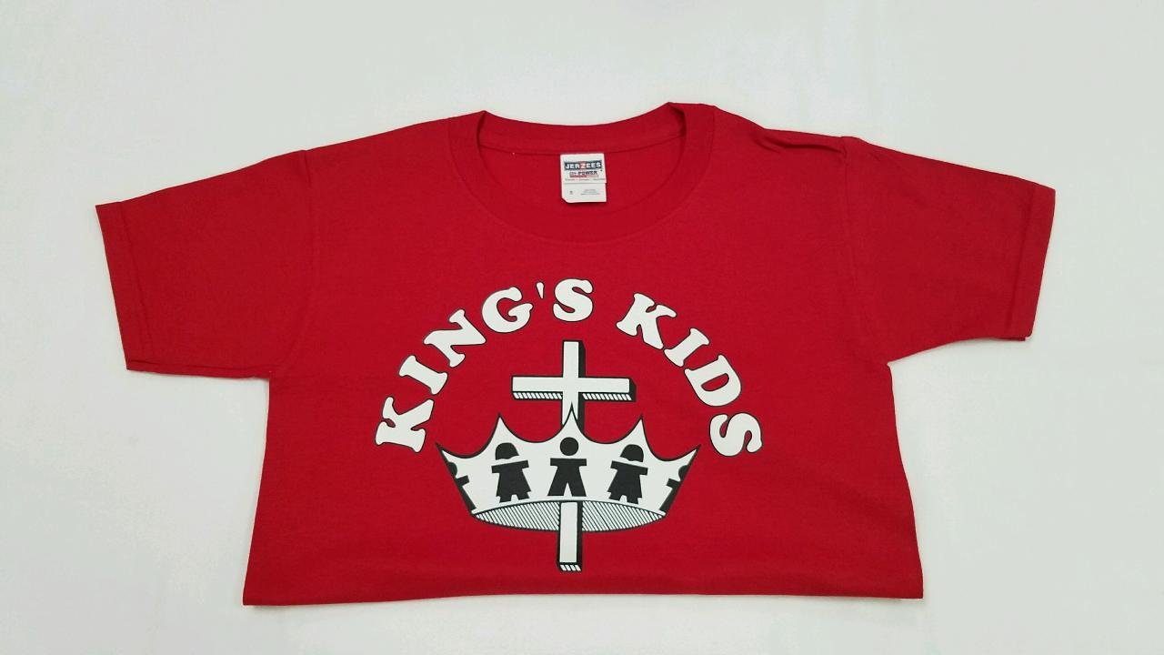 T-Shirt (adult medium)