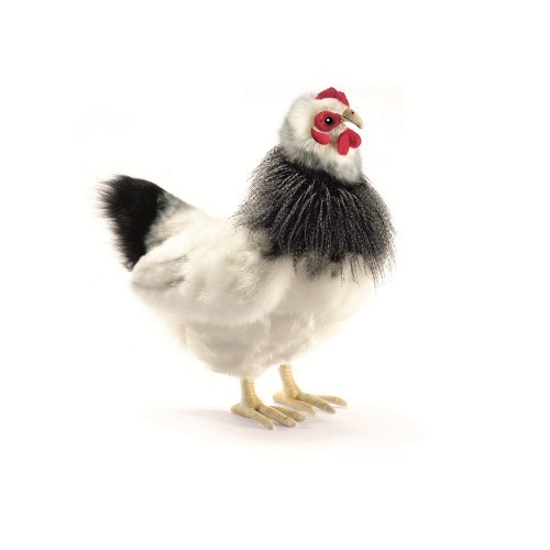 hansa chicken
