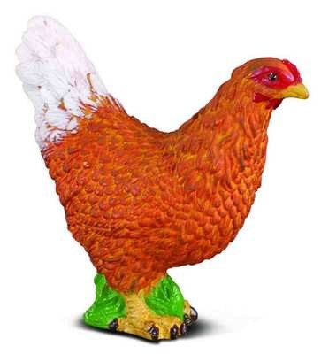 Hen By CollectA