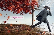 Women Fall/Winter Collection
