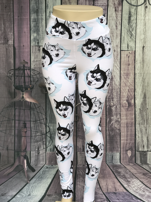 Animal Collection