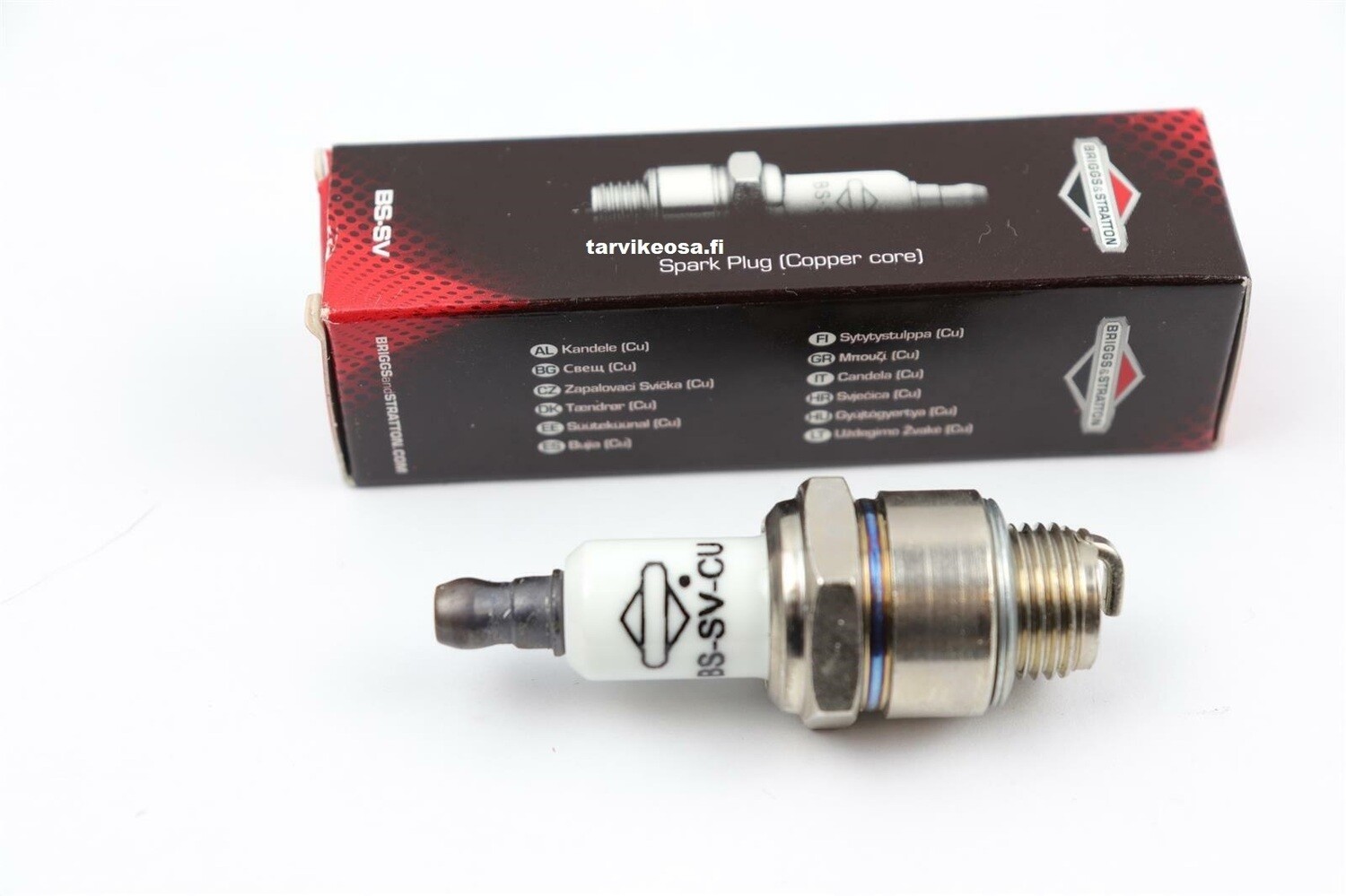 B&amp;S SYTYTYSTULPPA RJ19LM (SV)