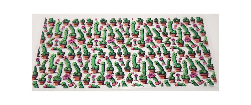 Cactus plants