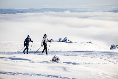 Cross-Country ski