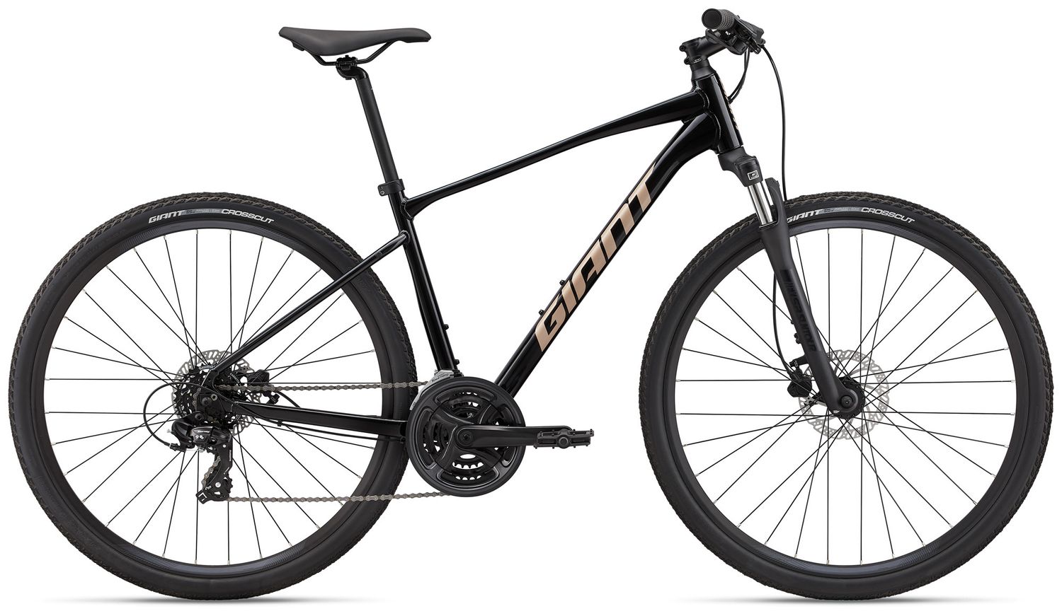 Roam 4 Disc