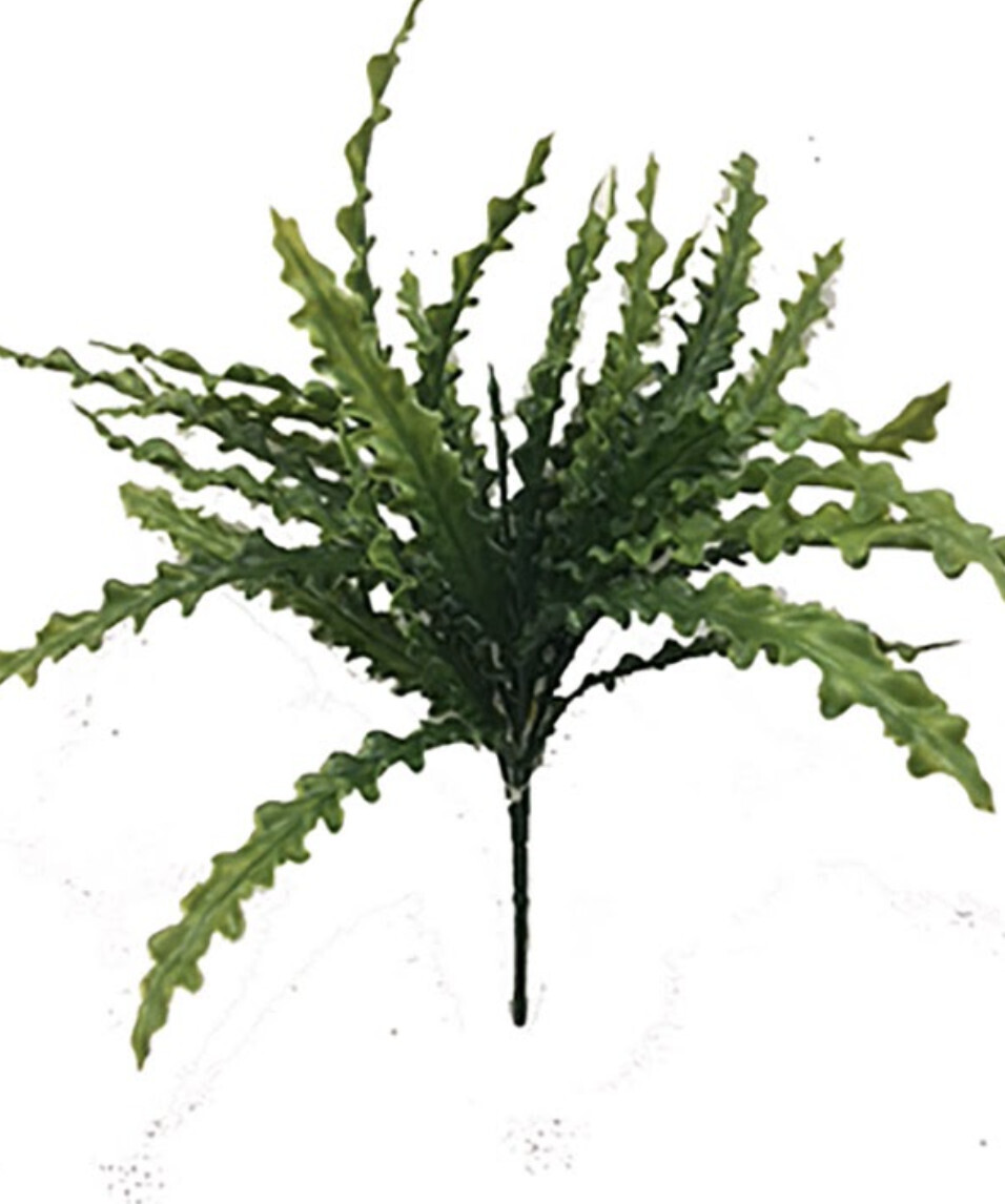 Grass bush