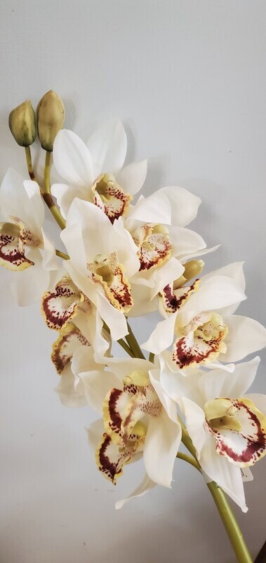 Cymbidium Orchid Spray White 35&quot;