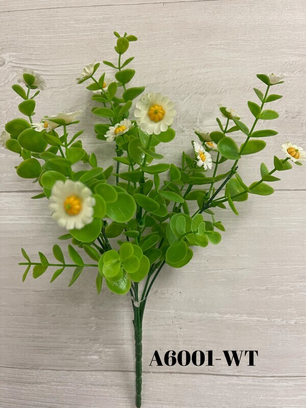 Eucalyptus bush / Flower x 6