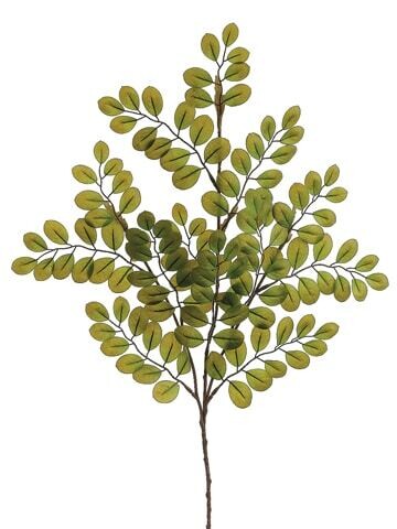 25&quot; BUTTON LEAF SPRAY 127L GR