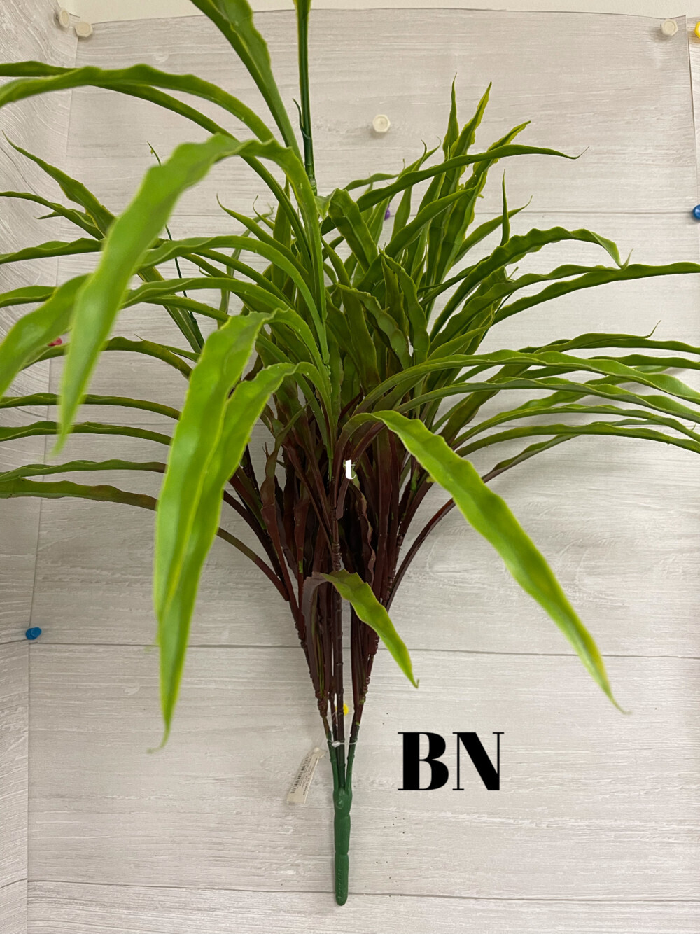 Tall Grass Bush