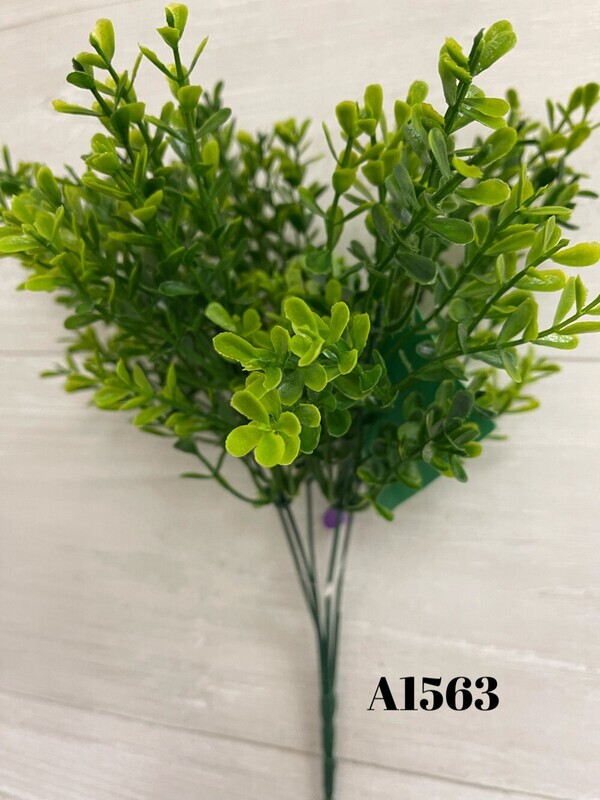 Greenary bush w/ boxwood