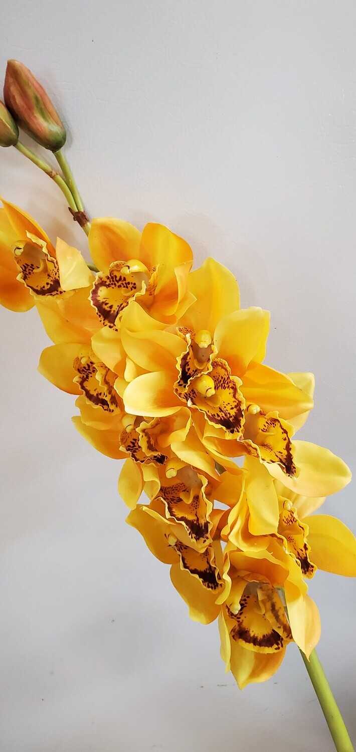 Cymbidium Orchid Spray Yellow 35&quot;