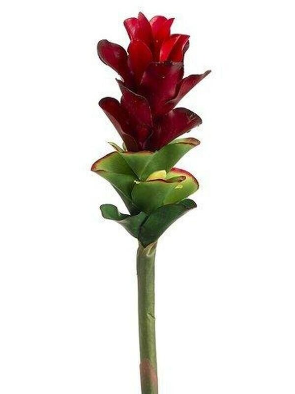 TORCH GINGER SPRAY 28&quot;