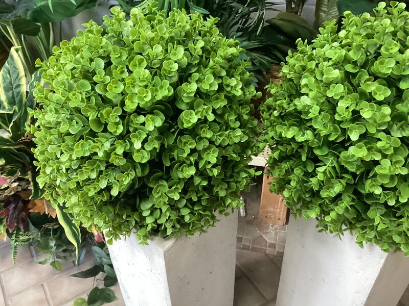Medium Eucalyptus Boxwood Ball - 14”