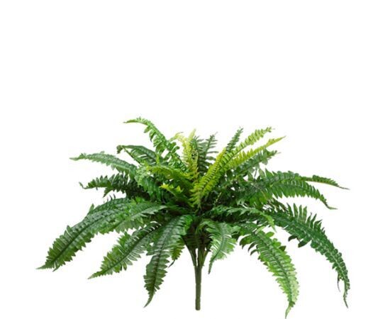 22&quot;BOSTON FERN BUSH X32