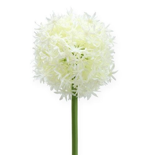 Allium Spray CR