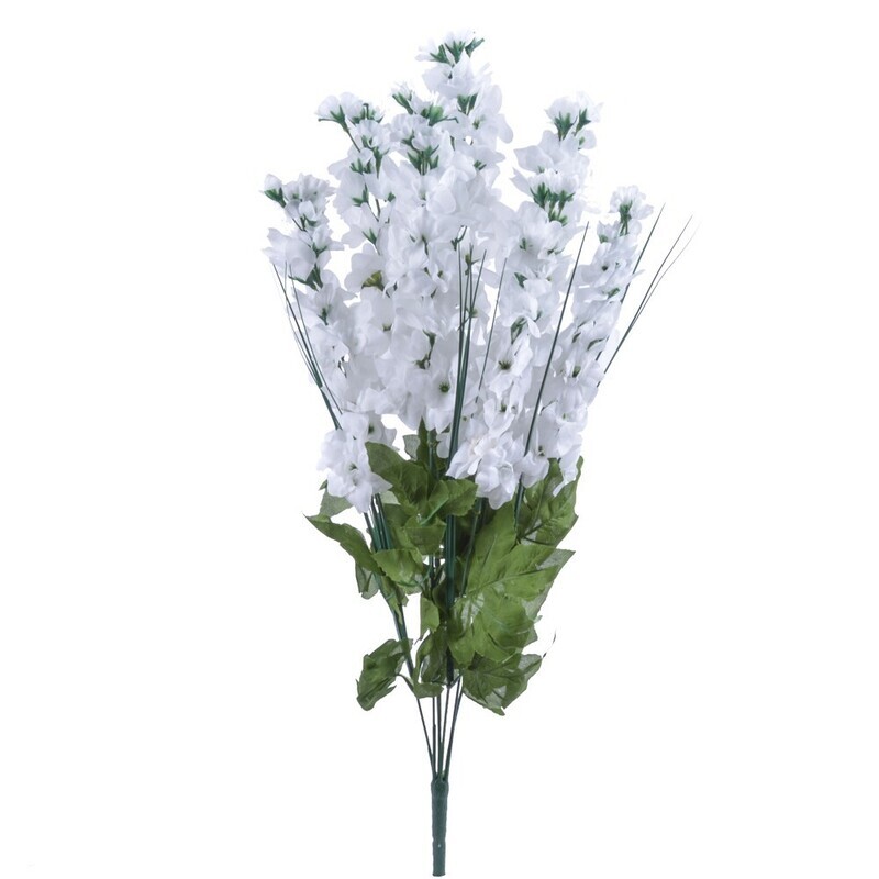 DELPHINIUM BUSH X 7