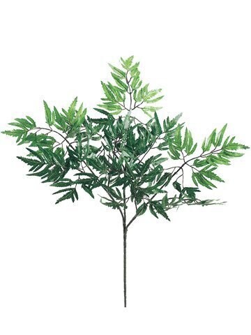 21&quot; ARALIA SPRAY X3 119L