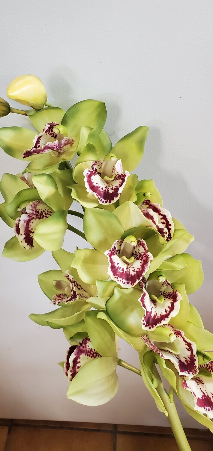 Cymbidium Orchid Spray Green 35&quot;