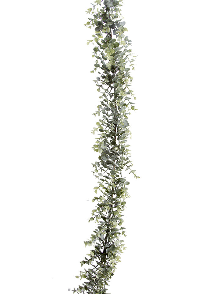 6&#39; EUCALYPTUS GARLAND