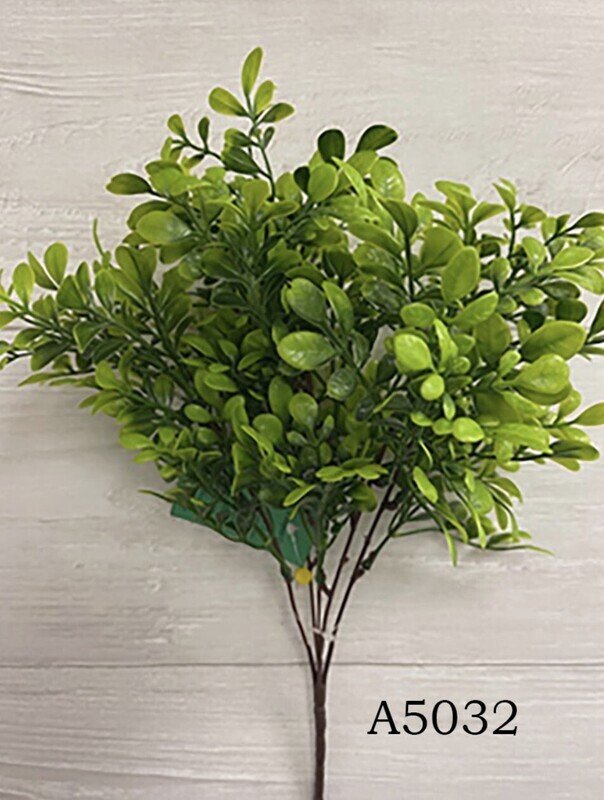 Small Boxwood Bush x5